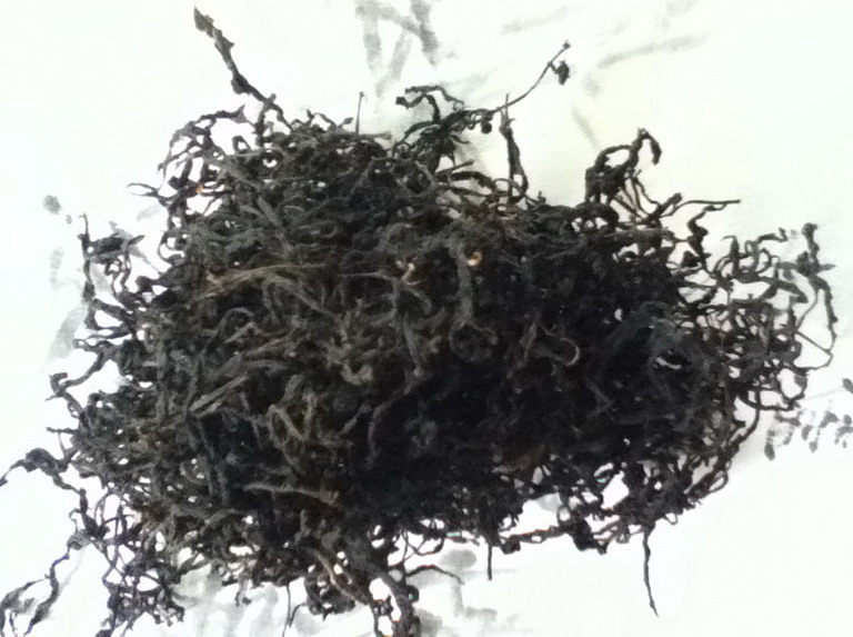 潮汕工夫茶之梅剑单枞茶